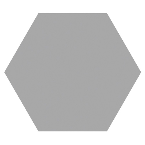 Grey Hexagonal Matt 150x170mm